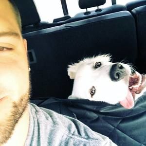 Meet your Posher, Michael dylan